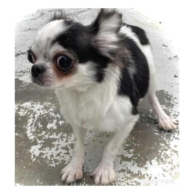 サマちゃん1枚目